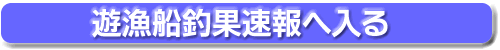 遊漁船釣果速報